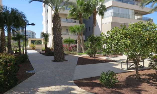 Bestaande woningen - Appartement / flat - Orihuela Costa - Villamartín