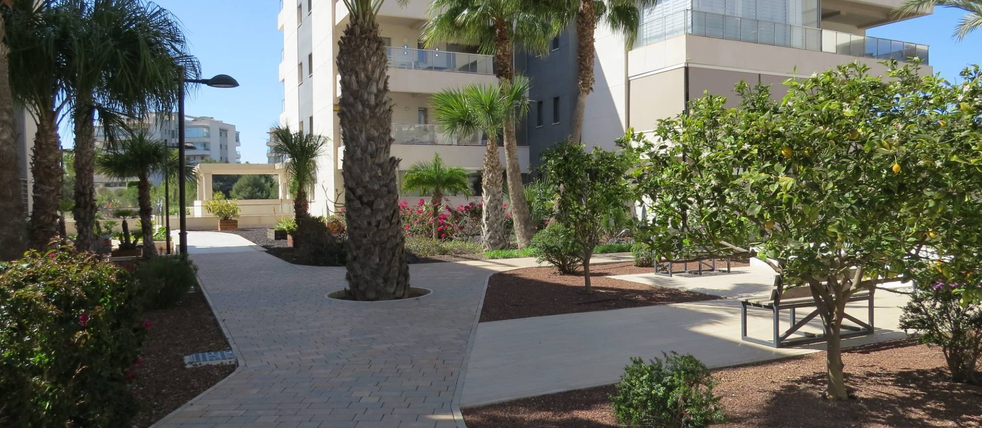 Bestaande woningen - Appartment - Orihuela Costa - Villamartín