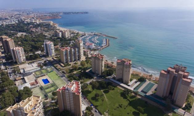 Nieuwbouw projecten - Appartment - Orihuela Costa - Campoamor