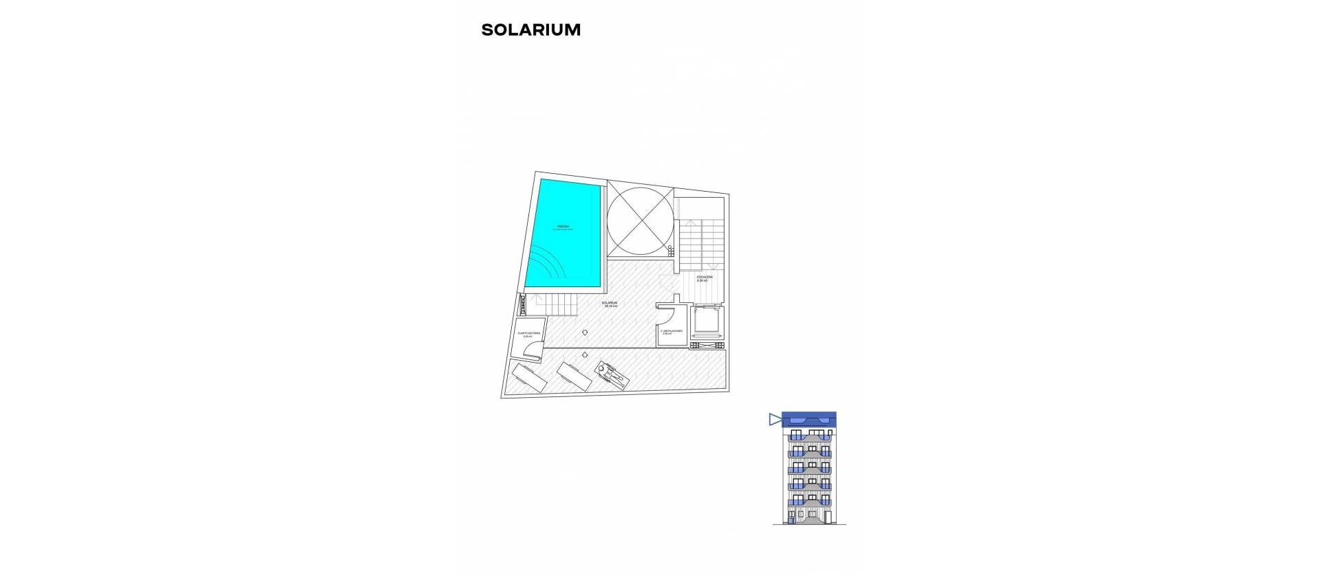 Nieuwbouw projecten - Appartment - Torrevieja - Playa de los Locos