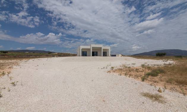 Nueva construcción  - Villa - Pinoso - Campo