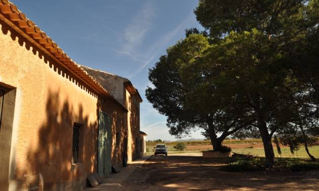 Venta - Country House - Yecla