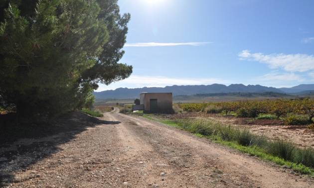 Venta - Country House - Yecla