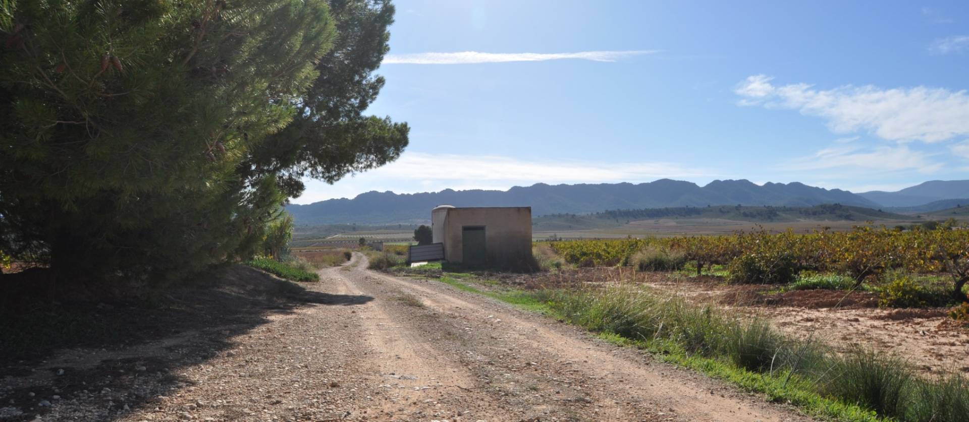 Venta - Country House - Yecla