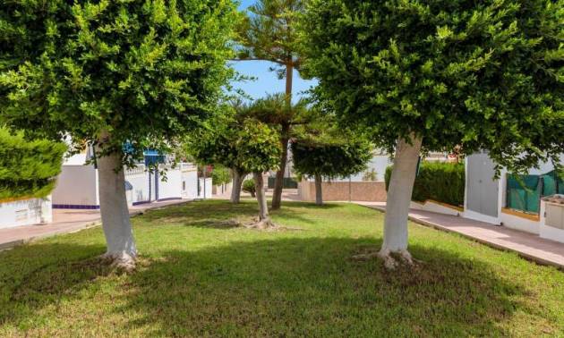 Bestaande woningen - Herenhuis - Torrevieja - Los Altos