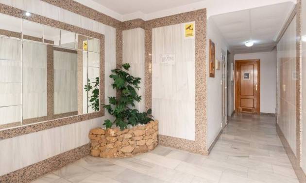 Revente - Apartment - Torrevieja - La Mata