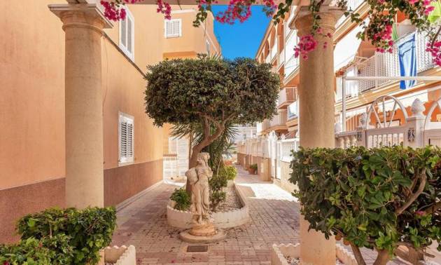 Bestaande woningen - Appartment - Torrevieja - La Mata