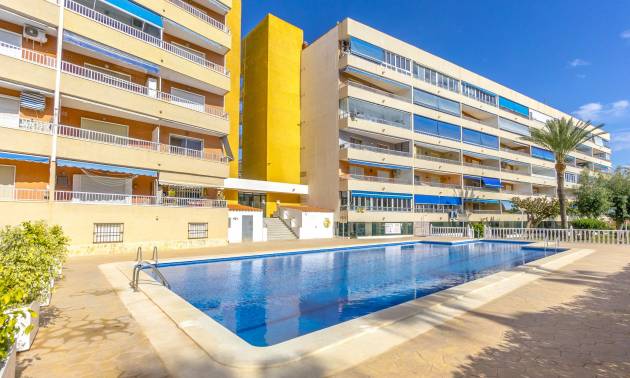 Bestaande woningen - Appartment - Punta Prima - El Acequión