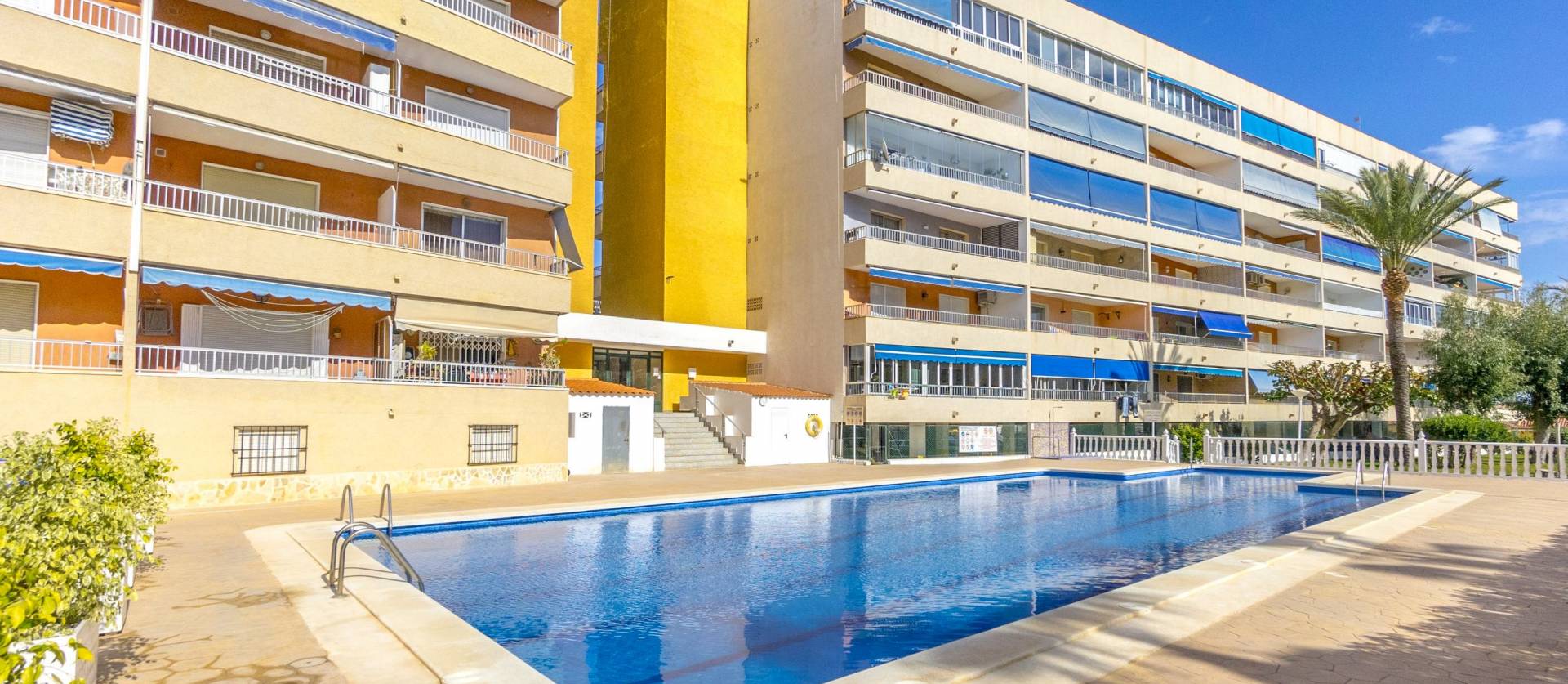 Bestaande woningen - Appartment - Punta Prima - El Acequión