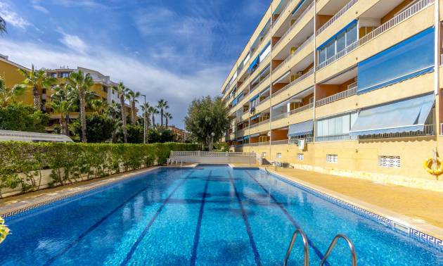 Bestaande woningen - Appartment - Punta Prima - El Acequión