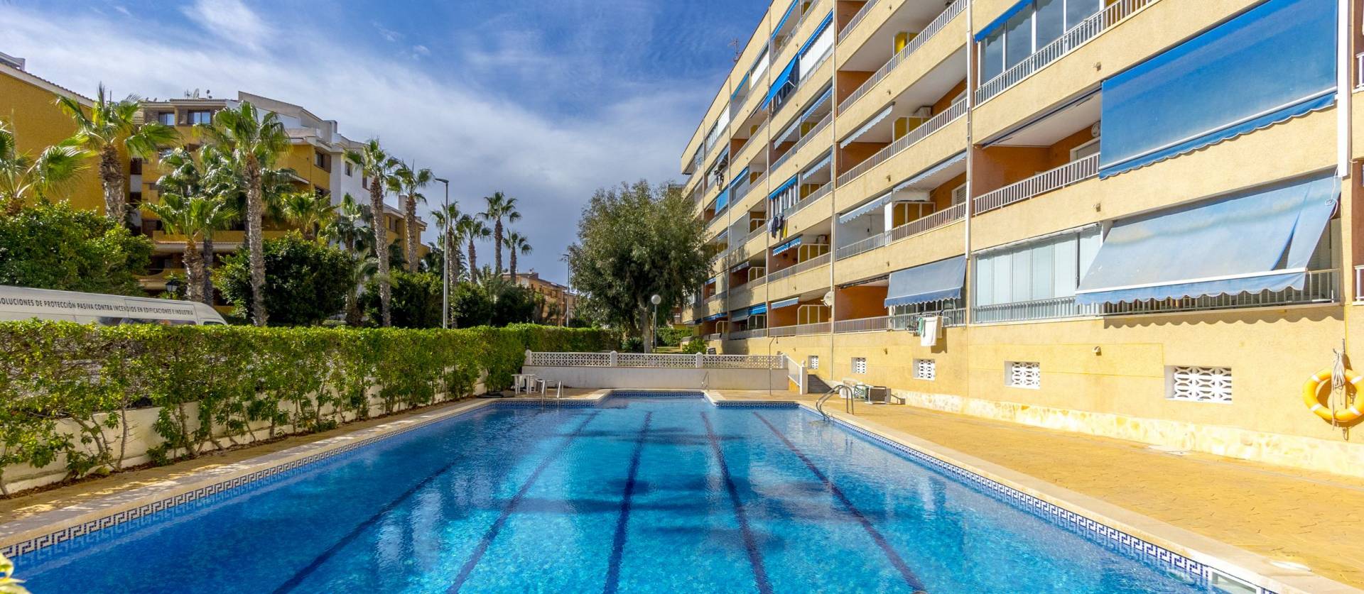 Sale - Apartment - Punta Prima - El Acequión