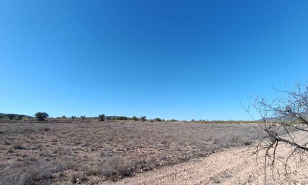 Revente - Country House - Jumilla