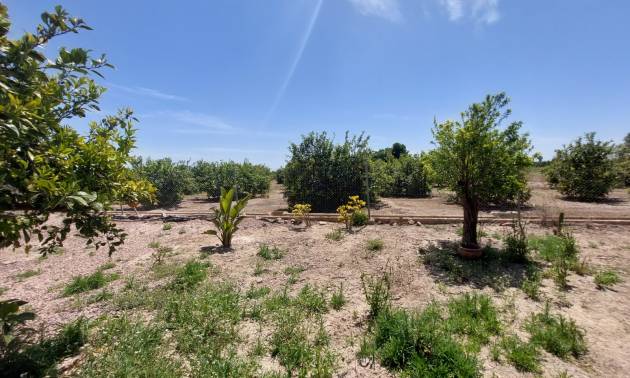 Sale - Country House - San Miguel de Salinas