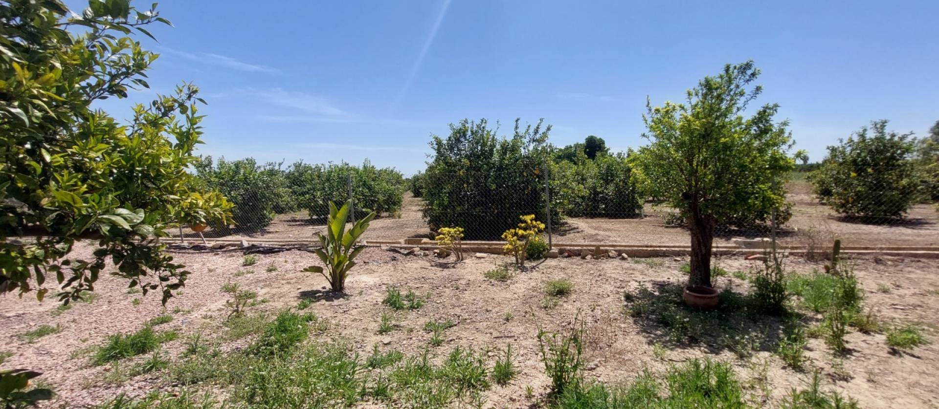 Sale - Country House - San Miguel de Salinas