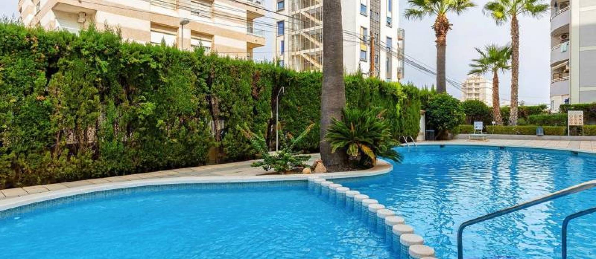 Venta - Apartment - Torrevieja