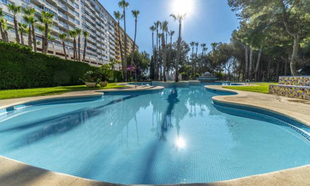 Revente - Apartment - Orihuela Costa - Campoamor