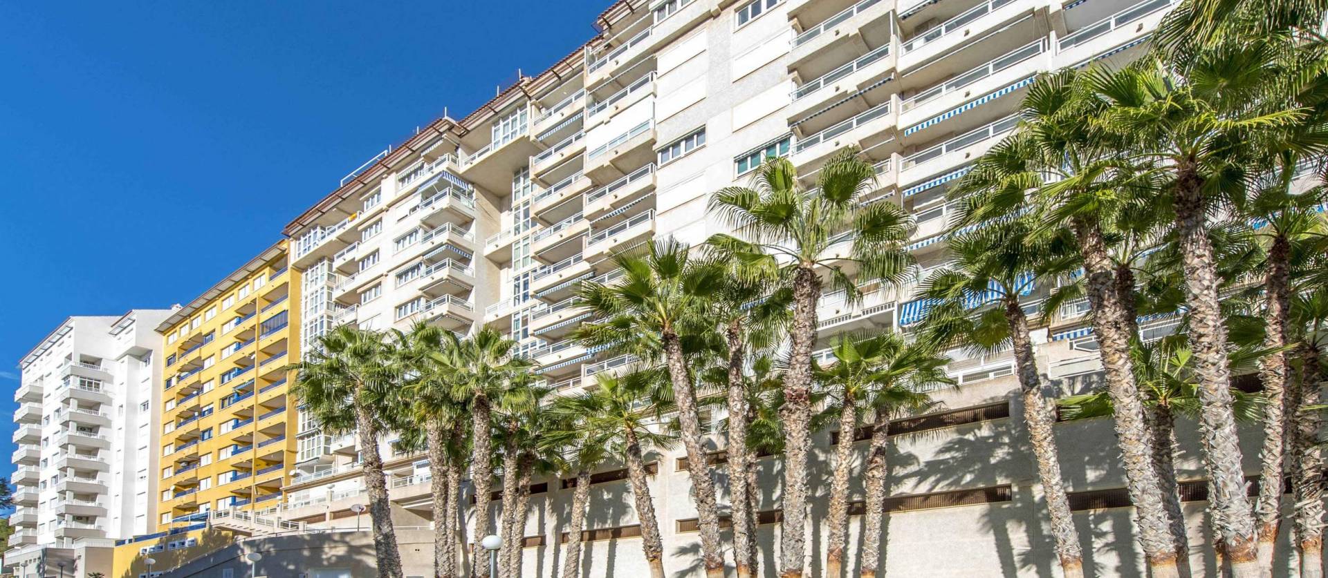 Venta - Apartment - Orihuela Costa - Campoamor