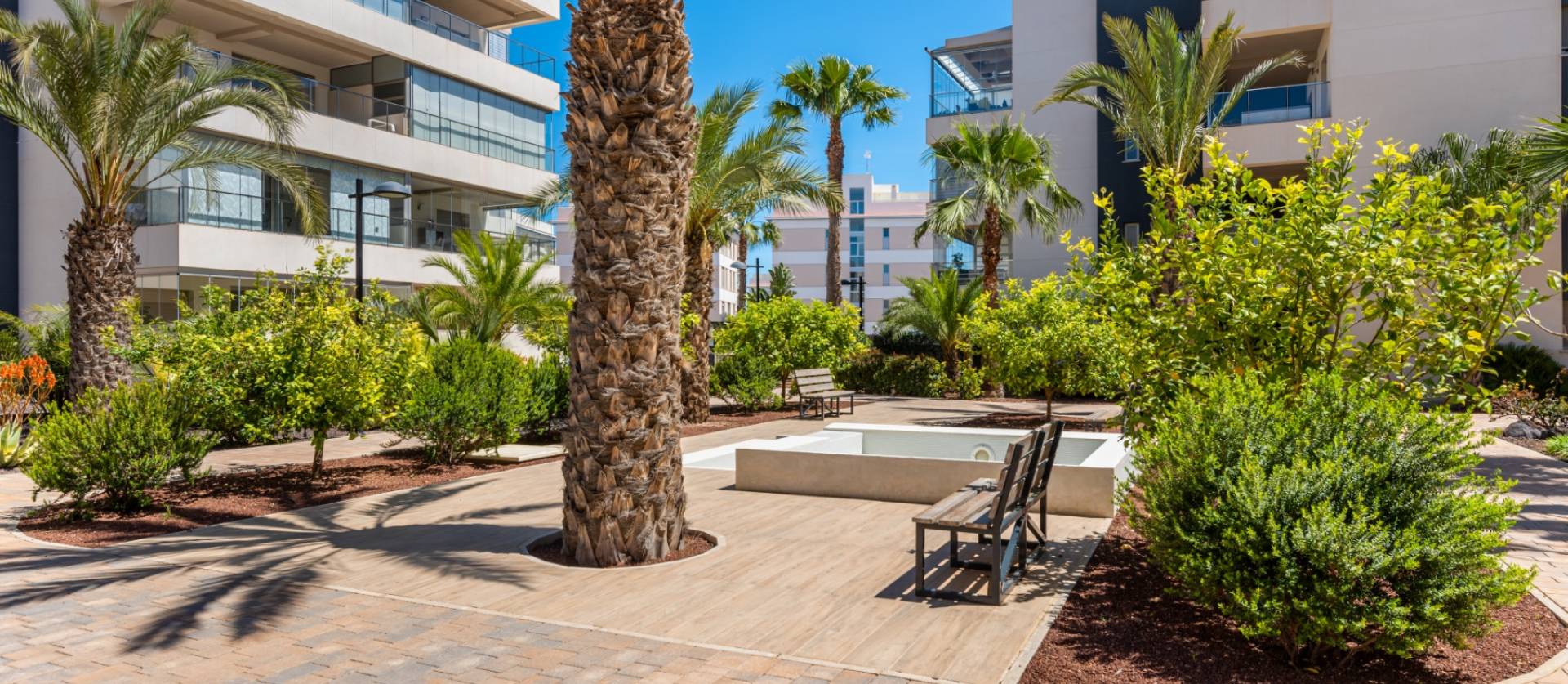 Venta - Apartment - Orihuela Costa - Los Dolses