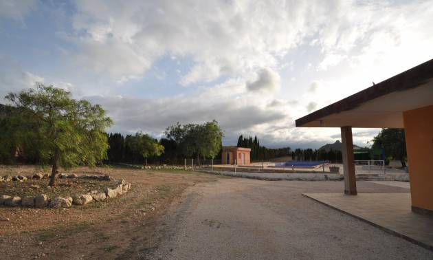 Sale - Villa - Jumilla