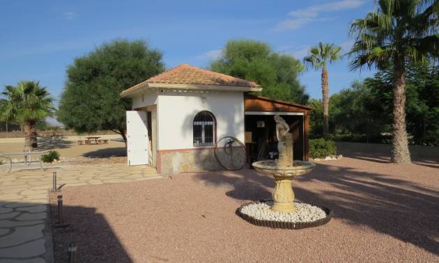 Sale - Country House - Daya Vieja