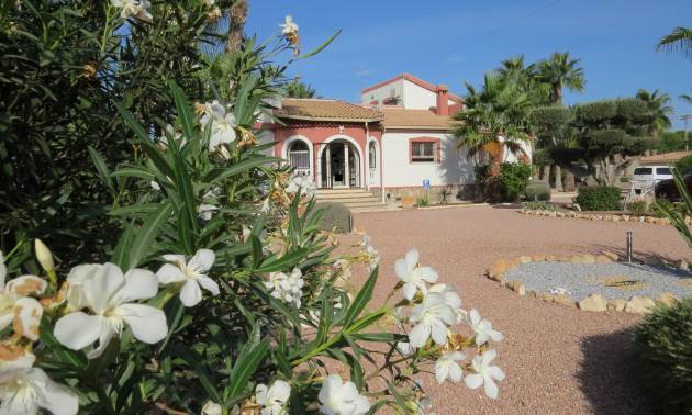 Sale - Country House - Daya Vieja