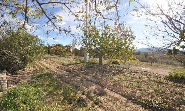 Sale - Country House - Pinoso