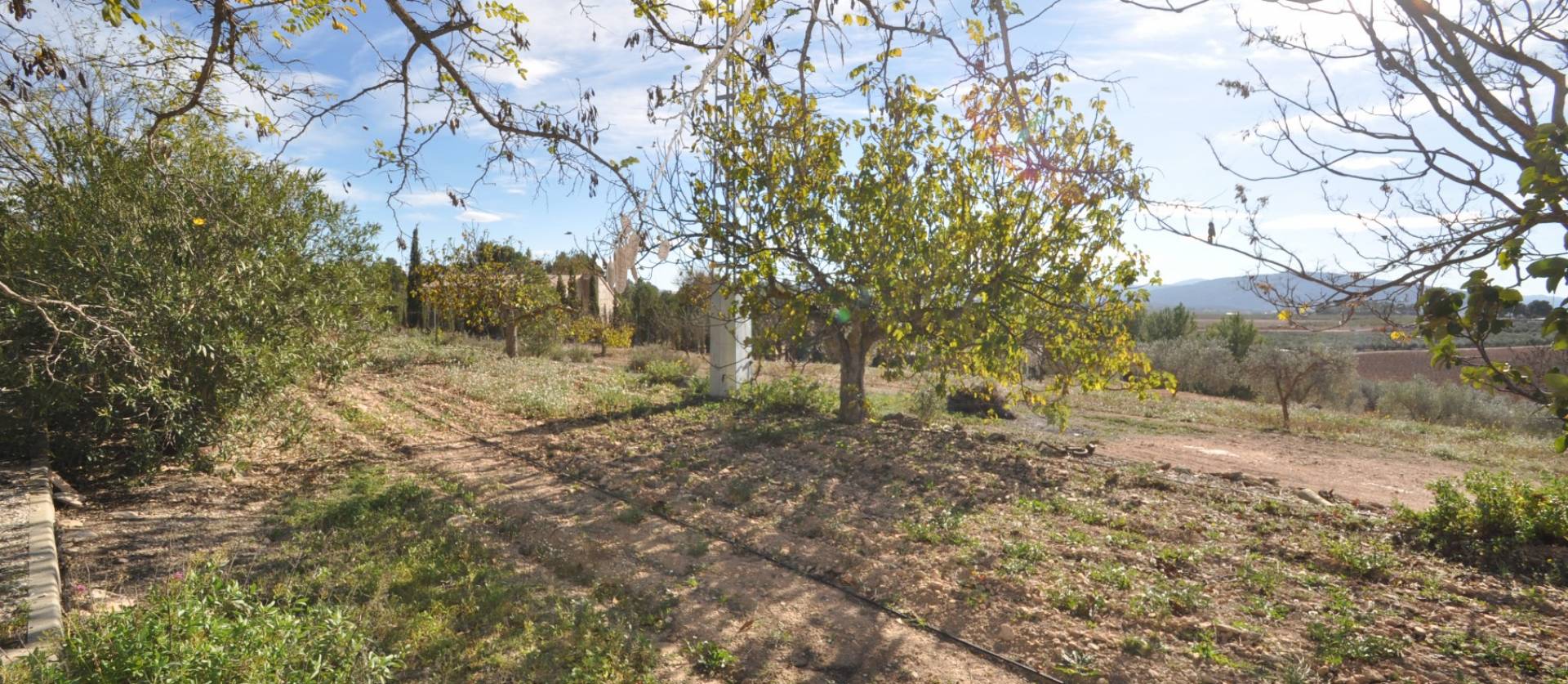 Sale - Country House - Pinoso