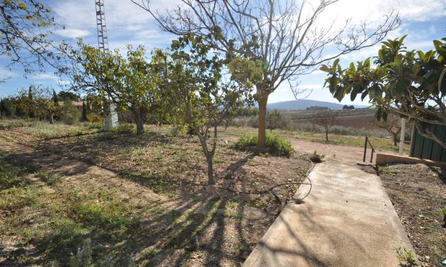 Sale - Country House - Pinoso