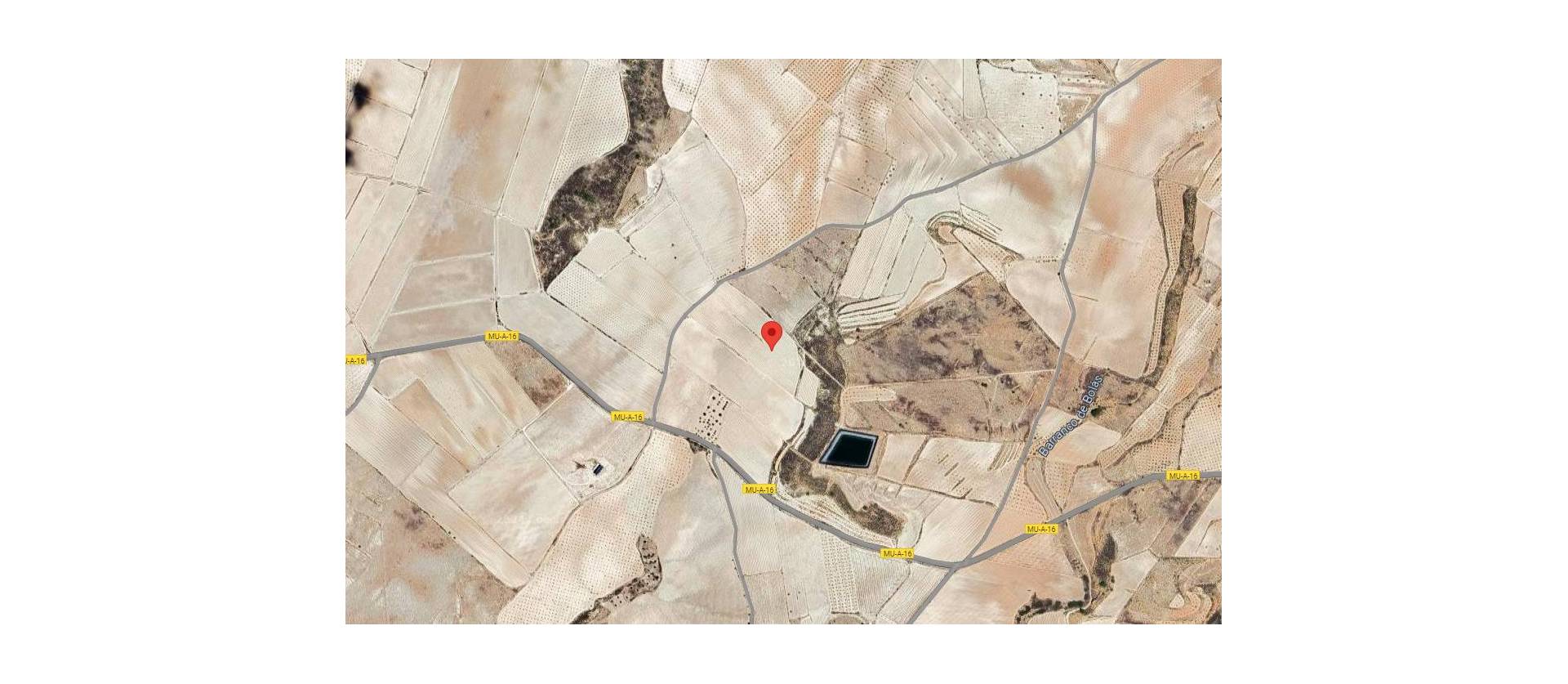 Sale - Land - Jumilla