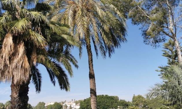 Sale - Apartment - Orihuela Costa