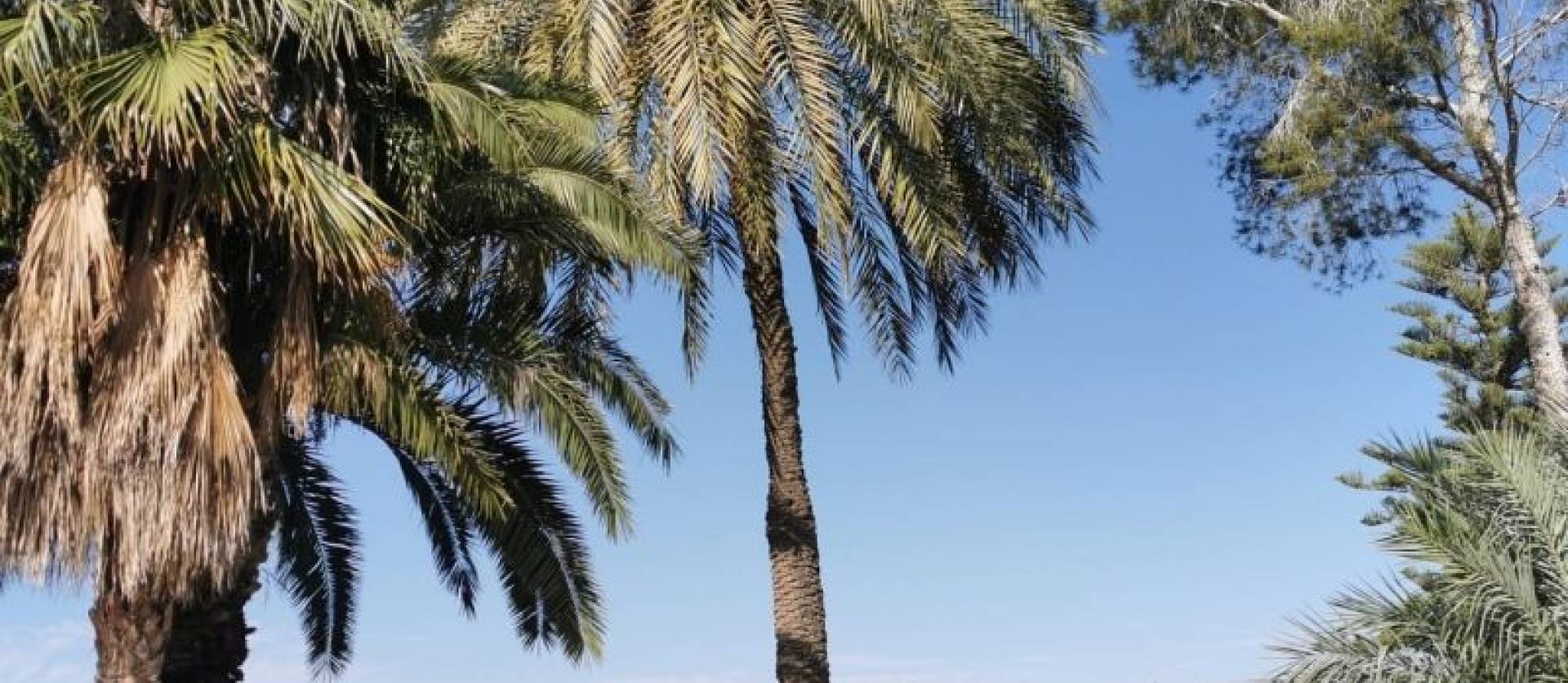 Sale - Apartment - Orihuela Costa