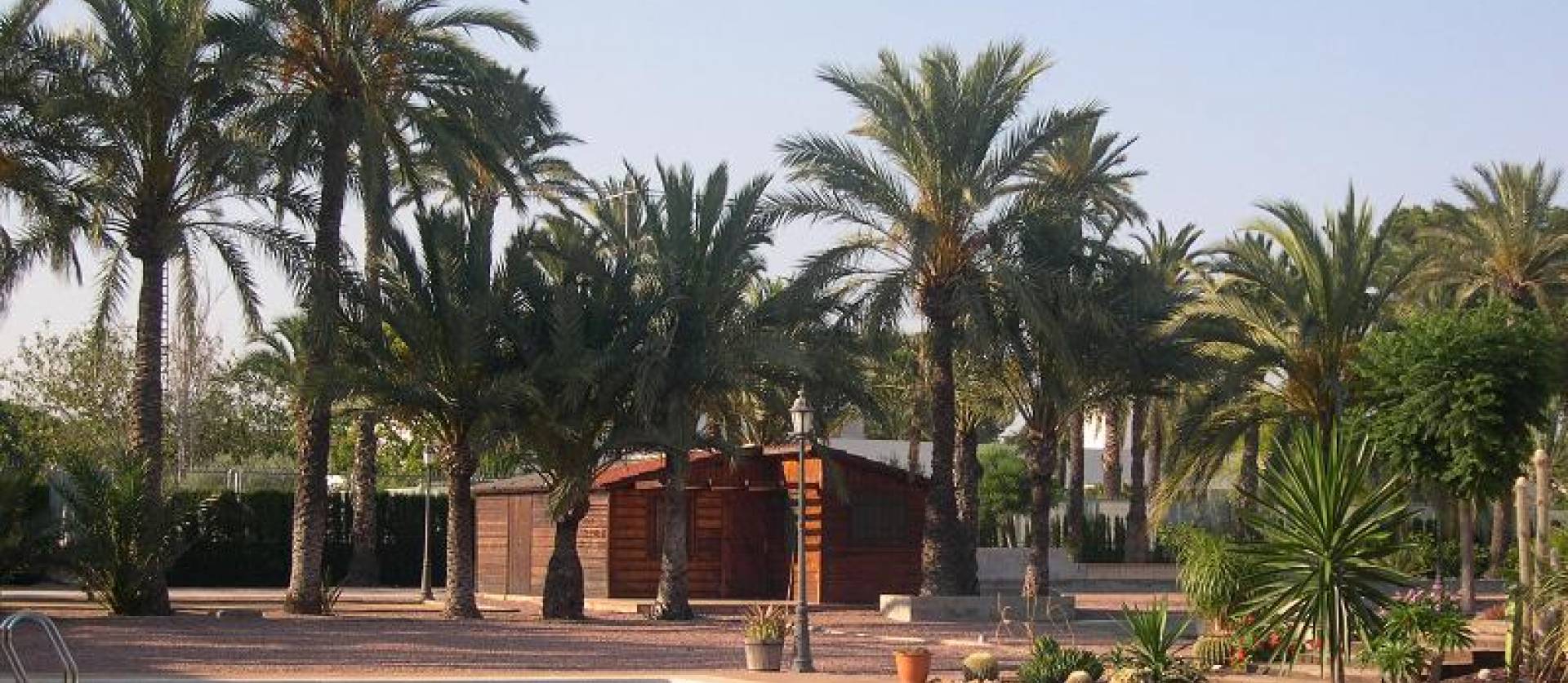 Bestaande woningen - Villa - Elche