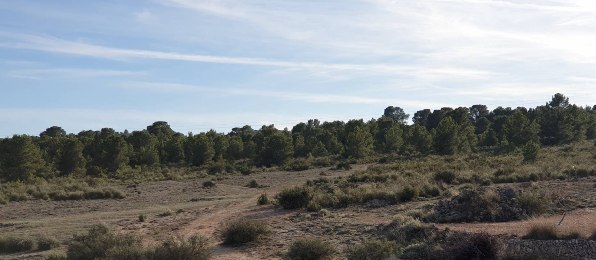 Revente - Land - Pinoso