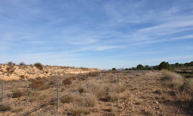 Revente - Land - Pinoso