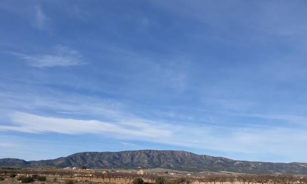 Revente - Land - Pinoso