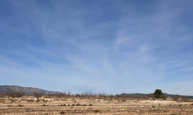 Revente - Land - Pinoso