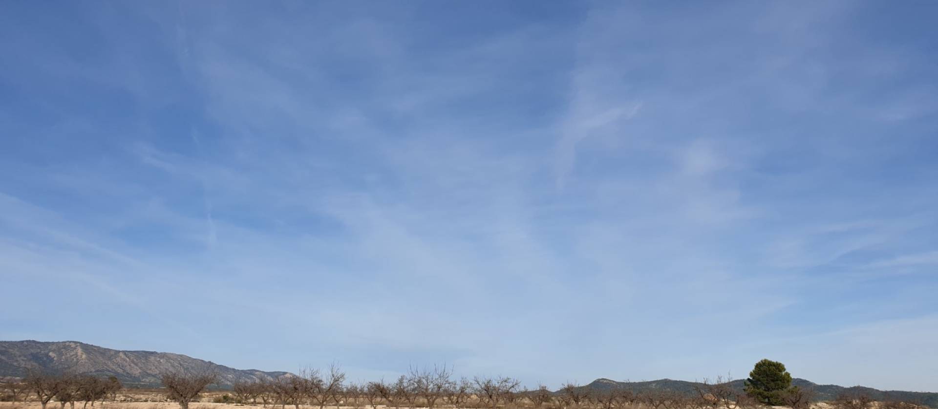 Revente - Land - Pinoso