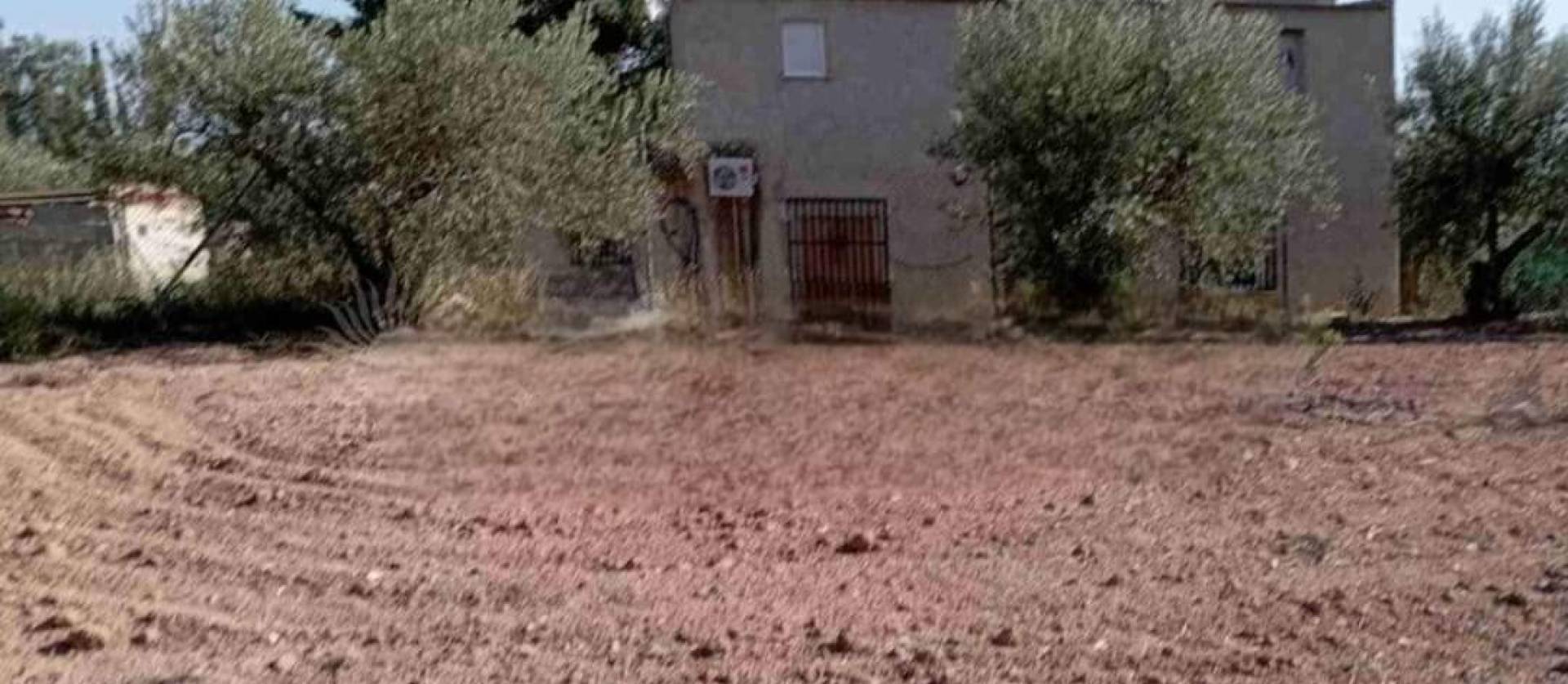 Sale - Villa - Jumilla