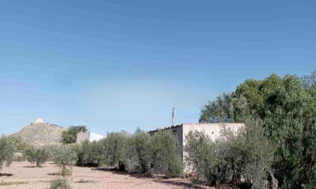 Sale - Villa - Jumilla