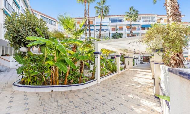 Revente - Apartment - Torrevieja