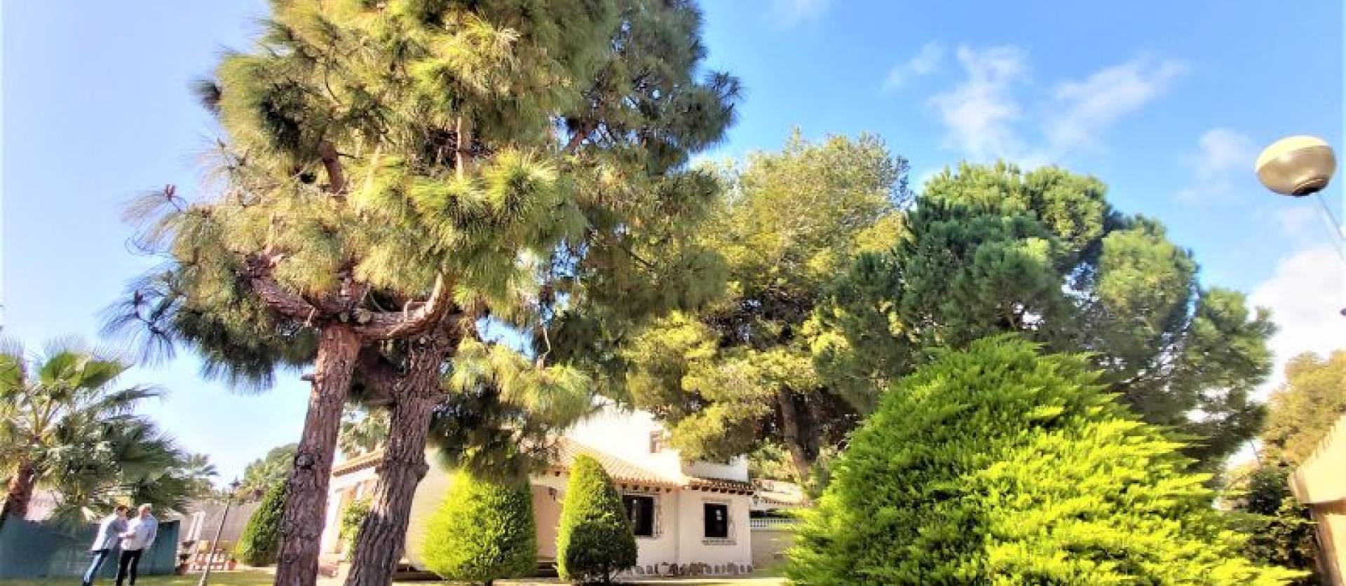 Bestaande woningen - Villa - Torrevieja