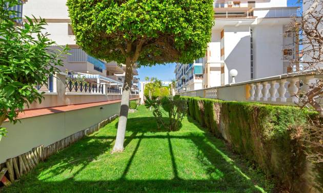 Bestaande woningen - Appartment - Torrevieja - La Mata