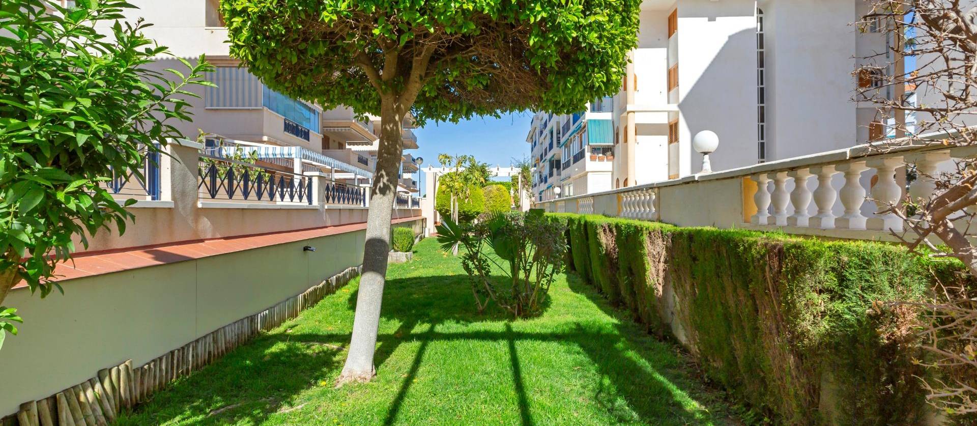 Bestaande woningen - Appartment - Torrevieja - La Mata