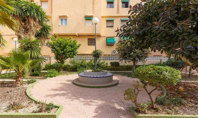 Bestaande woningen - Appartment - Torrevieja - La Mata