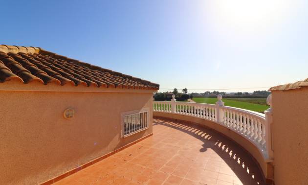 Sale - Country House - Catral