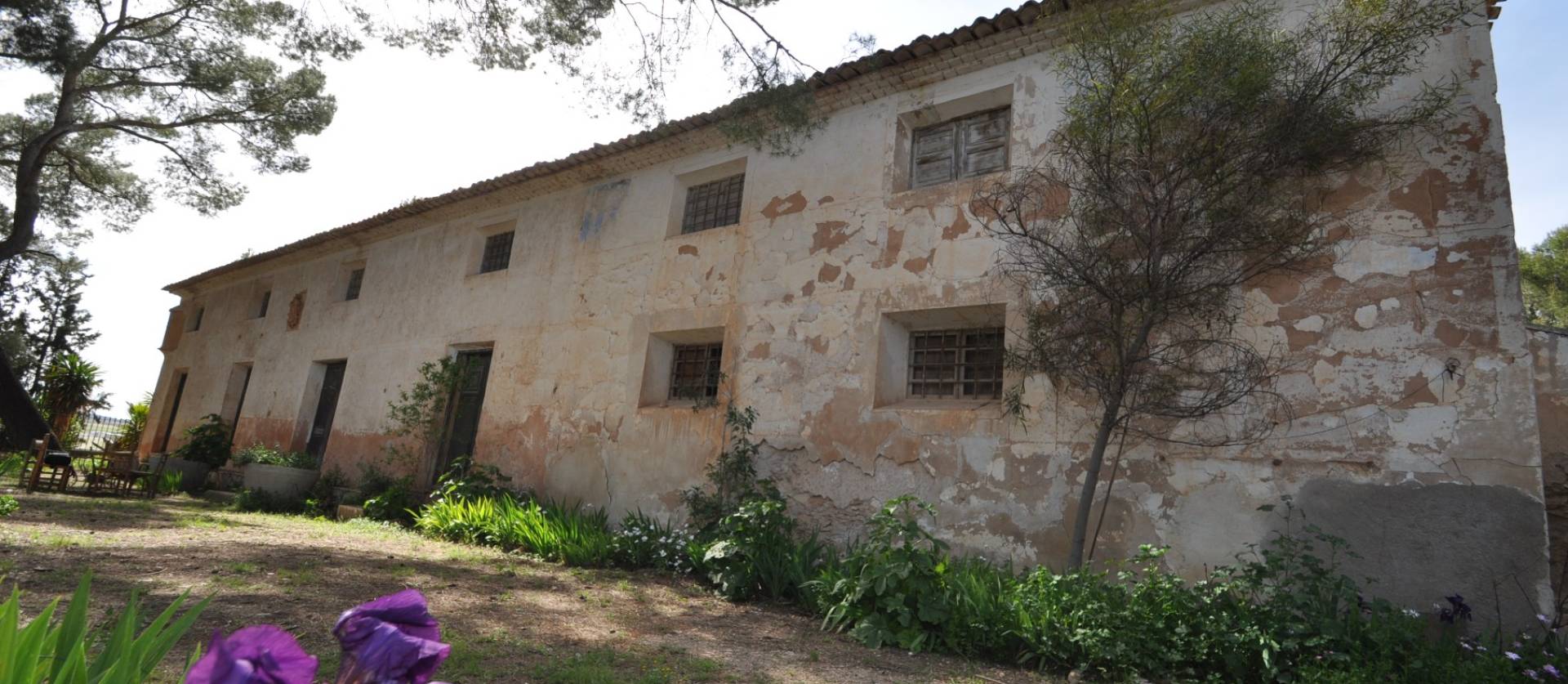 Venta - Country House - Yecla