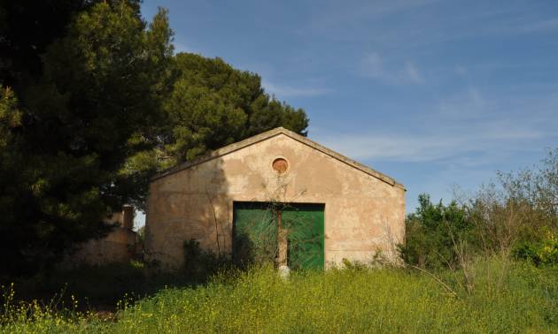 Venta - Country House - Yecla