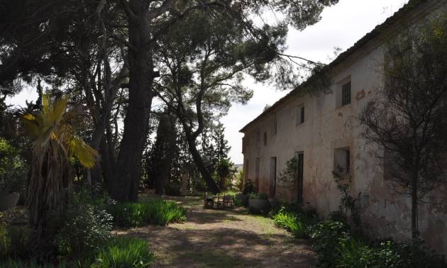 Venta - Country House - Yecla