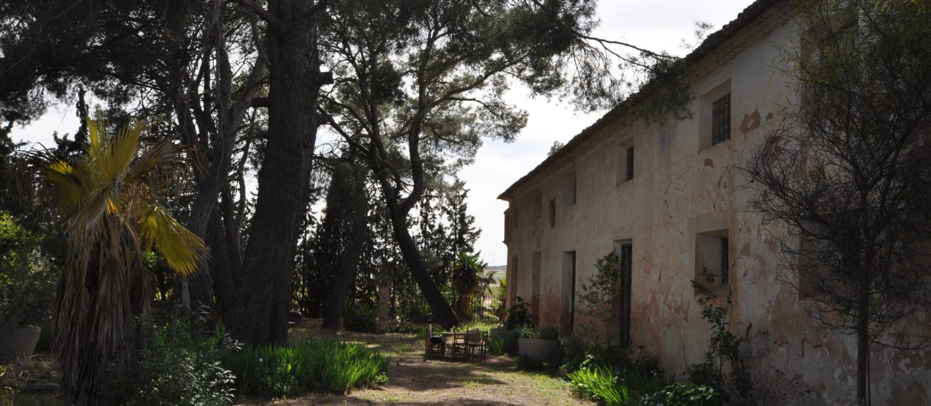 Venta - Country House - Yecla