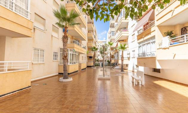 Bestaande woningen - Appartment - Torrevieja - Estacion de autobuses